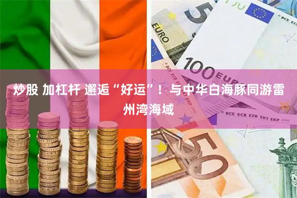 炒股 加杠杆 邂逅“好运”!与中华白海豚同游雷州湾海域