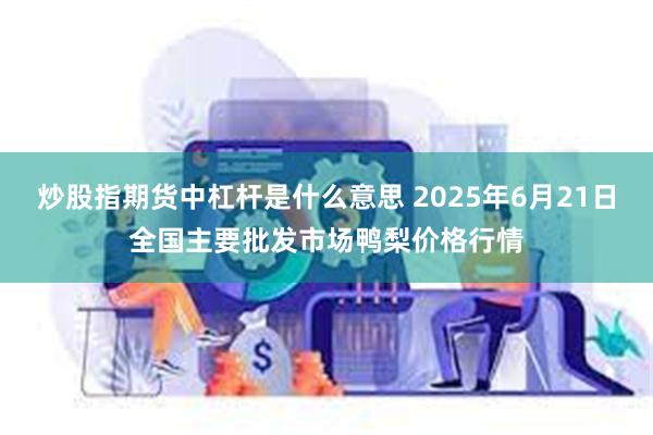 炒股指期货中杠杆是什么意思 2025年6月21日全国主要批发市场鸭梨价格行情