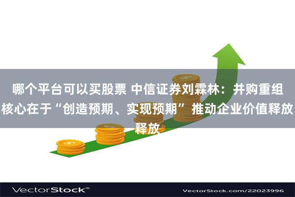 哪个平台可以买股票 中信证券刘霖林:并购重组核心在于“创造预期、实现预期” 推动企业价值释放