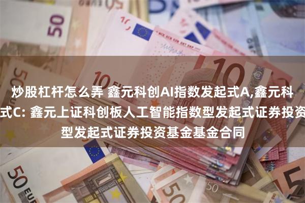 炒股杠杆怎么弄 鑫元科创AI指数发起式A,鑫元科创AI指数发起式C: 鑫元上证科创板人工智能指数型发起式证券投资基金基金合同