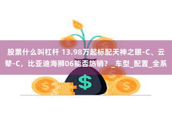 股票什么叫杠杆 13.98万起标配天神之眼-C、云辇-C,比亚迪海狮06能否热销?_车型_配置_全系