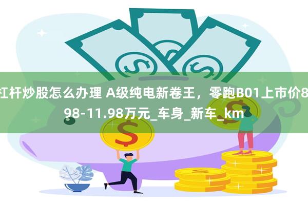 杠杆炒股怎么办理 A级纯电新卷王,零跑B01上市价8.98-11.98万元_车身_新车_km