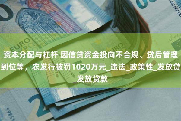 资本分配与杠杆 因信贷资金投向不合规、贷后管理不到位等,农发行被罚1020万元_违法_政策性_发放贷款