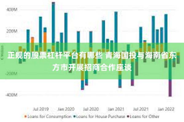 正规的股票杠杆平台有哪些 青海国投与海南省东方市开展招商合作座谈
