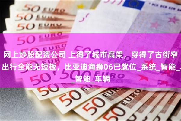 网上炒股配资公司 上得了城市高架，穿得了古街窄巷！出行全能无短板，比亚迪海狮06已就位_系统_智能_车辆